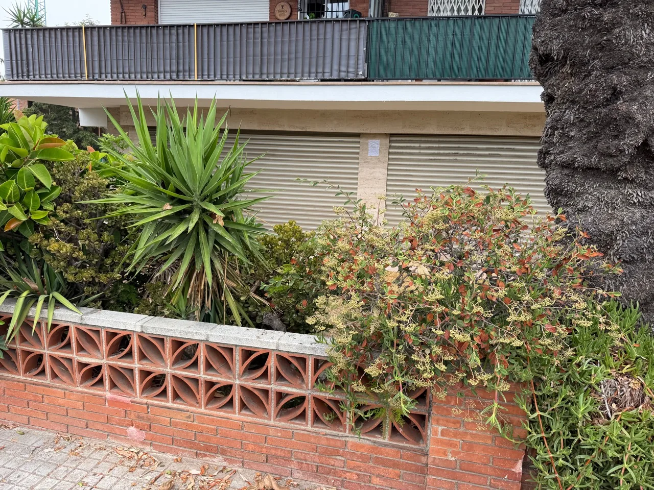 Exterior de l'edifici i la vegetació al costat del local d'Anaël a Premià de Mar